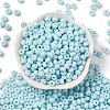 Baking Paint Glass Seed Beads SEED-C003-02E-2