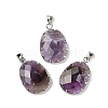 Natural Amethyst Pendants G-H086-01P-02-1