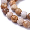 Natural Fossil Coral Beads Strands G-G779-03A-2