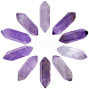 Beebeecraft 10Pcs Natural Amethyst No Hole G-BBC0001-17-1