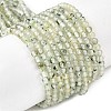 Natural Prehnite Beads Strands G-RM250104-A9-2