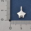 925 Sterling Silver Smiling Face Star Charms STER-R013-05S-3