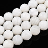 Natural White Shell Beads Strands G-T141-21-1