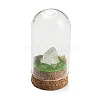 Natural Quartz Crystal Nuggets Display Decoration with Glass Dome Cloche Cover DJEW-B009-03B-1