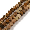 Natural Picture Jasper Beads Strands G-G085-B20-01-1