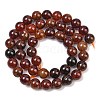 Natural Garnet Beads Strands G-H300-A01-02-3