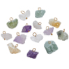 Natural Gemstone Pendants PALLOY-FG00001-1