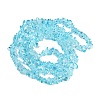 Transparent Glass Beads Strands GLAA-Z009-01E-2