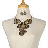 Alloy Aluminum and Acrylic Resin Jewelry Sets FS-WGFFF05-06-1