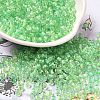 Transparent Glass Round Seed Beads SEED-B001-05A-06-1