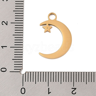 304 Stainless Steel Pendants STAS-P377-02G-1