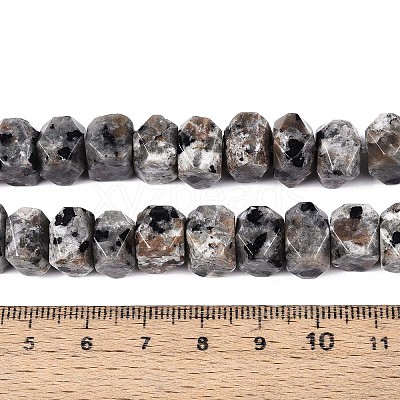 Natural Syenite Beads Strands G-D091-A32-1