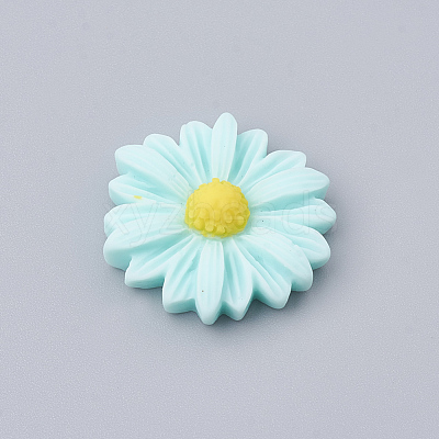 Resin Cabochons CRES-N007-10J-1