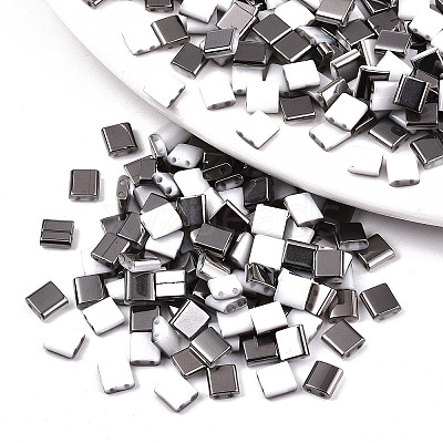 FGB 2-Hole Glass Seed Beads SEED-S031-L-ST41-H-1