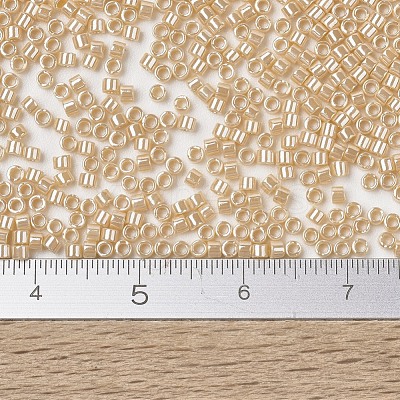 MIYUKI Delica Beads X-SEED-J020-DB1561-1