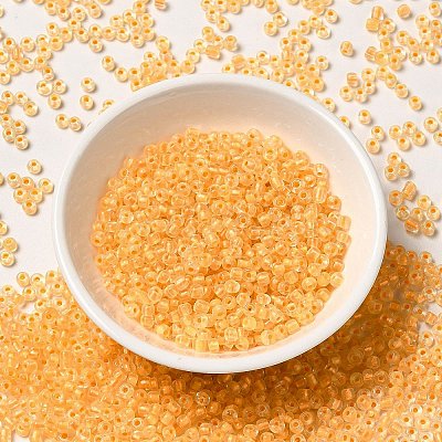 12/0 Transparent Glass Seed Beads SEED-F003-03C-01-1