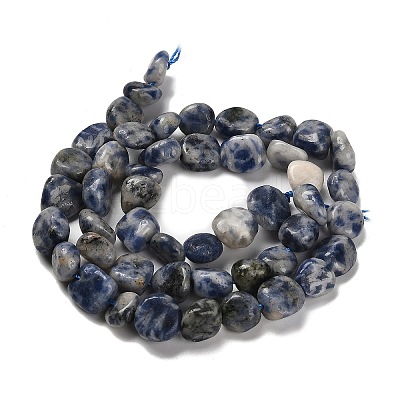 Natural Blue Spot Jasper Beads Strands G-P497-01E-67-1