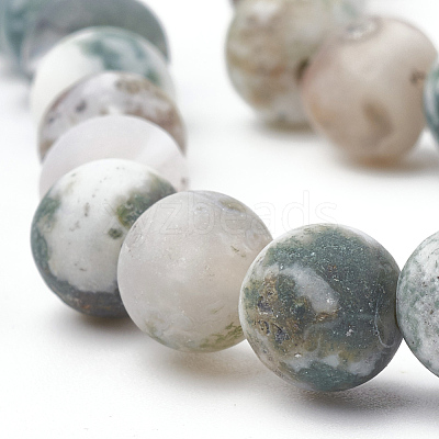 Natural Tree Agate Beads Strands G-T106-037-1
