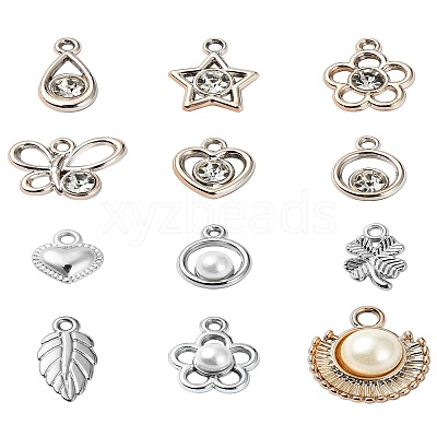 12 Styles ABS Plastic & CCB Plastic Pendants KY-YW0001-67-1