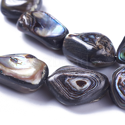 Natural Abalone Shell/Paua Shell Beads Strands SSHEL-F303-08A-1