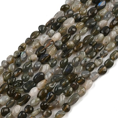 Natural Labradorite Beads Strands LS-G-C250-03-1