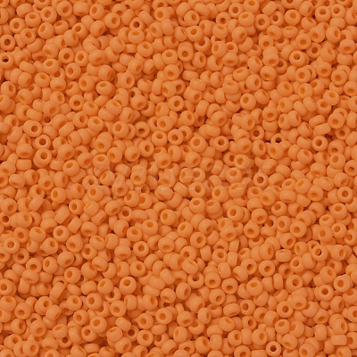 MIYUKI Round Rocailles Beads X-SEED-G007-RR0405F-1