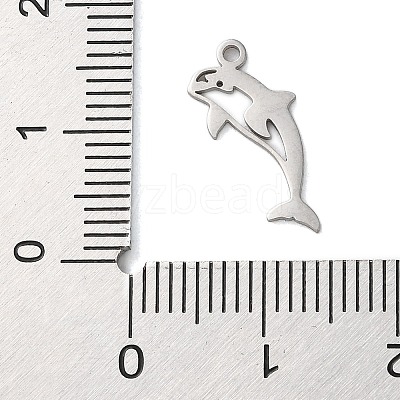 Non-Tarnish 304 Stainless Steel Charms STAS-S138-01P-04-1