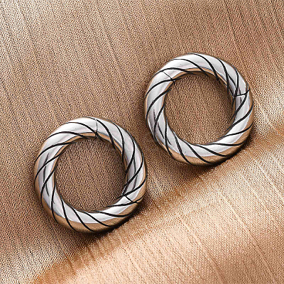 2 Pairs 316 Stainless Steel Spring Gate Rings STAS-BBC0007-87-1