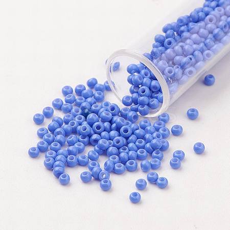 11/0 Grade A Baking Paint Glass Seed Beads X-SEED-N001-A-1021-1