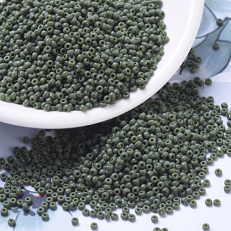 MIYUKI Round Rocailles Beads SEED-G007-RR0501-1