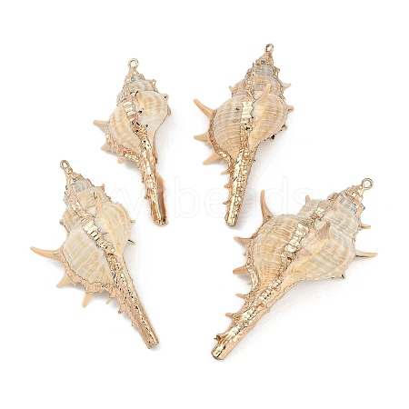 Natural Shell Pendants SHEL-K009-01E-1