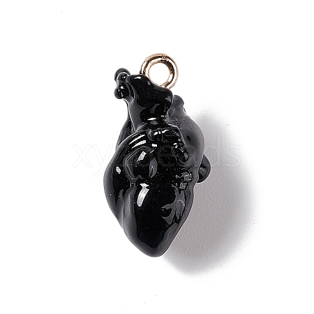 Transparent Resin Pendants RESI-E028-01G-04-1