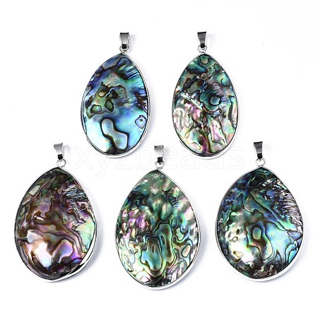 Natural Abalone Shell/Paua Shell Pendants SSHEL-N034-90-1