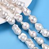 Natural Baroque Pearl Keshi Pearl Beads Strands PEAR-S019-05D-01-1