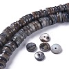 Natural Freshwater Shell Beads Strands BSHE-I016-04-5