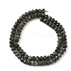 Natural Seraphinite Beads Strands G-K376-E06-4x6mm-3