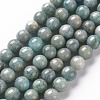 Natural Amazonite Beads Strands G-S333-8mm-005-1