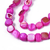 Natural Trochid Shell/Trochus Shell Beads Strands SHEL-S258-083-B07-3