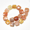 Natural Carnelian Beads Strands G-S357-D02-09-2