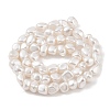 Electroplated Shell Pearl Beads Strands BSHE-C006-02A-2