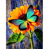 DIY Butterfly Theme Diamond Painting Kits DIAM-PW0004-039P-1