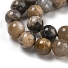 Natural Black Moonstone Beads Strands G-Q183-A01-01-4