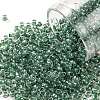 TOHO Round Seed Beads X-SEED-TR08-1070-1