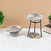 Natural Shell Display Decorations DJEW-WH0042-143C-4