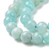 Natural Amazonite Round Beads Strands X-G-A025-01A-4