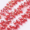 Electroplate Glass Faceted Teardrop Beads Strands EGLA-D014-16-1