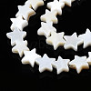 Natural Freshwater Shell Beads Strands SHEL-Q024-018-3