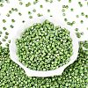 FGB Opaque Colours Glass Seed Beads SEED-Q040-07A-A06-2