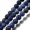 Natural Sodalite Round Bead Strands X-G-P072-27-6mm-2