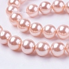 Shell Pearl Beads Strands X-BSHE-L035-8mm-I01-1